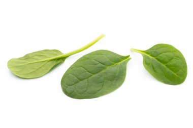 Baharat. Baharat karışımı ahşap arka plan üzerinde bir tahta kaşık.