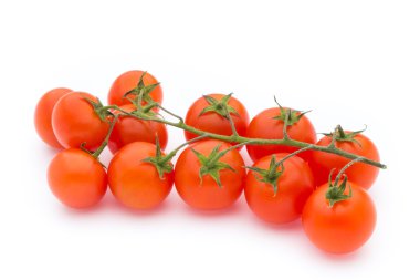 Baharat. Baharat karışımı ahşap arka plan üzerinde bir tahta kaşık.