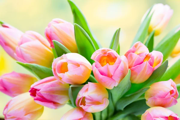 Frühlingsblumen. Tulpenstrauß auf dem Bokeh-Hintergrund. — Stockfoto