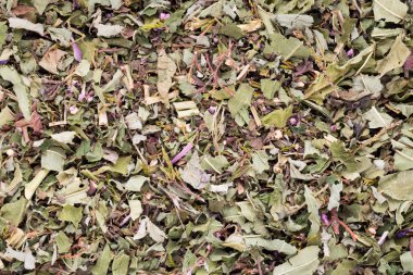 Baharat. Baharat karışımı ahşap arka plan üzerinde bir tahta kaşık.