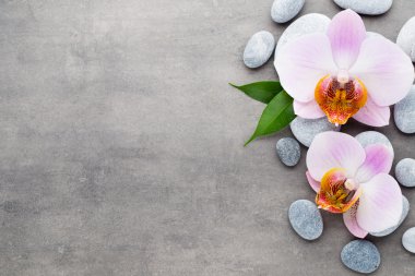 Spa orkide Tema nesneleri gri arka plan üzerinde.