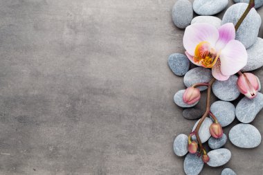 Spa orkide Tema nesneleri gri arka plan üzerinde.