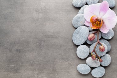 Spa orkide Tema nesneleri gri arka plan üzerinde.