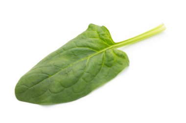 Balkabağı. Gri arka plan üzerinde Pupkin dilimleri.