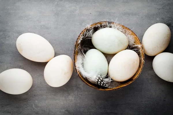 Eend eieren op een kooi grijze achtergrond. — Stockfoto