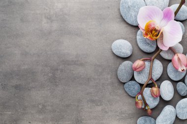 Spa orkide Tema nesneleri gri arka plan üzerinde.