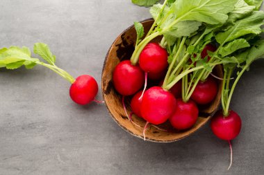 Turp taze, gri arka planda..