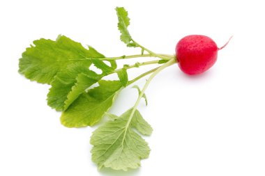 Beyaz arkaplanda taze turp. 