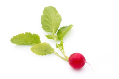 Beyaz arkaplanda taze turp. 