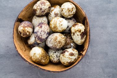 Yuvadaki bıldırcın yumurtaları, baharın sembolü..