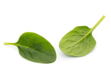 Ispanak izole beyaz.