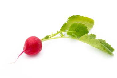 Beyaz arkaplanda taze turp. 