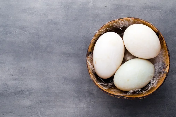 Eend eieren op een kooi grijze achtergrond. — Stockfoto