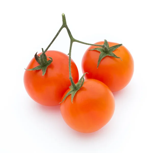 Tomate sobre o fundo isolado branco. — Fotografia de Stock