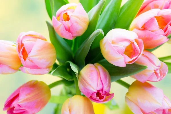 Frühlingsblumen. Tulpenstrauß auf dem Bokeh-Hintergrund. — Stockfoto