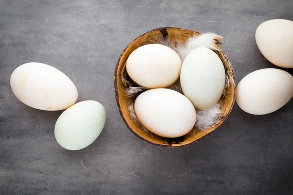 Αυγά πάπιας σε ένα κλουβί γκρι φόντο. — Φωτογραφία Αρχείου