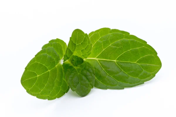 Mint leaves isolated on white background. — Stock Photo, Image