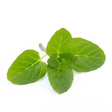 Beyaz arkaplanda izole edilmiş nane yaprakları.