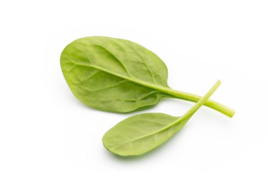 Ispanak izole beyaz.