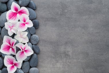 Gri arkaplandaki spa temalı nesnelerin görünümünü kapat.