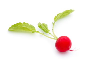 Beyaz arkaplanda taze turp. 