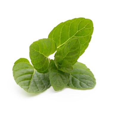 Beyaz arkaplanda izole edilmiş nane yaprakları.