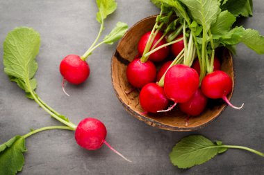 Turp taze, gri arka planda..