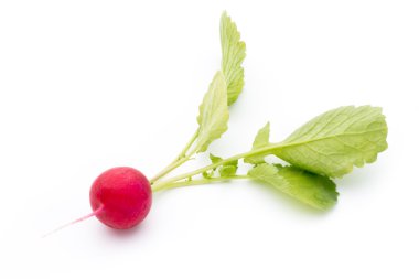 Beyaz arkaplanda taze turp. 