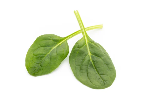 Spinach on the isolated white. — Stock Photo, Image
