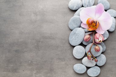 Spa orkide Tema nesneleri gri arka plan üzerinde.