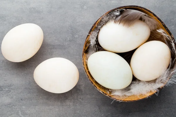 Αυγά πάπιας σε ένα κλουβί γκρι φόντο. — Φωτογραφία Αρχείου