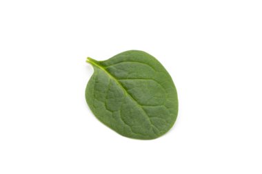 Ispanak izole beyaz.