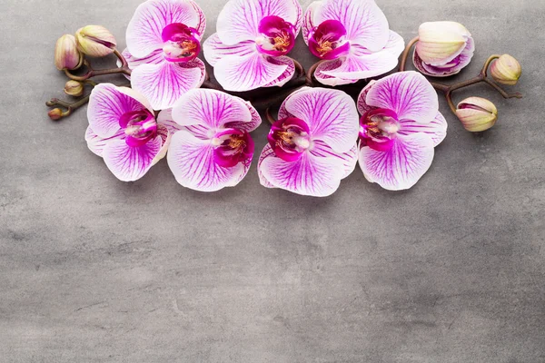 Spa orchidea téma objektumok szürke háttér. — Stock Fotó