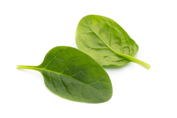 Spinach on the isolated white. — Stock Photo, Image