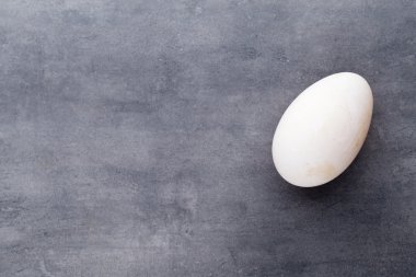  Gri arka planda ördek yumurtaları.