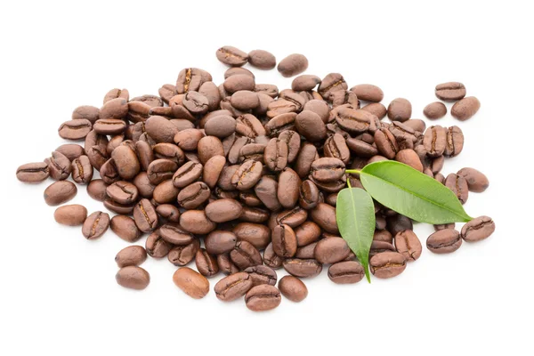 Coffee grains and leaves isolated on the white backgrounds. — Stock Photo, Image