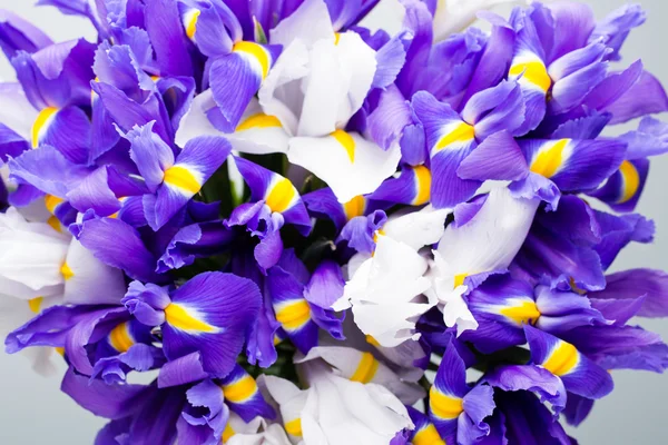 Iris bloemen achtergrond, lente bloemen patroon. — Stockfoto