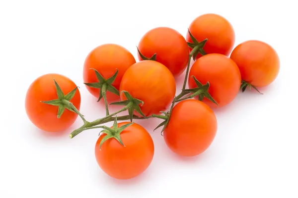 Tomate sobre o fundo isolado branco. — Fotografia de Stock