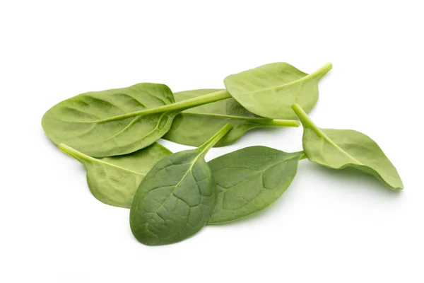 Spinach on the isolated white. — Stock Photo, Image