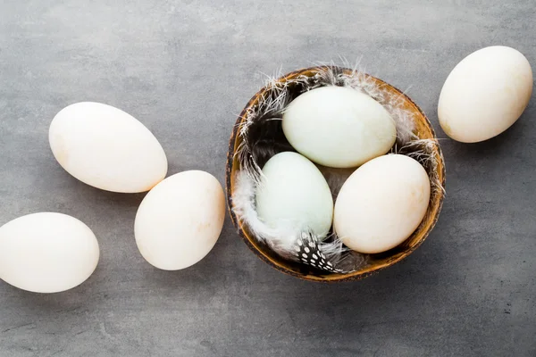 Huevos de pato sobre un fondo gris jaula. —  Fotos de Stock