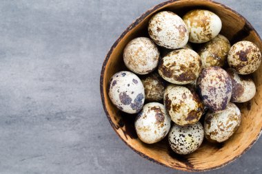 Yuvadaki bıldırcın yumurtaları, baharın sembolü..