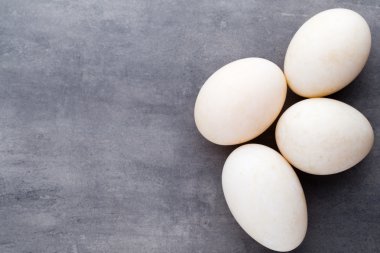  Gri arka planda ördek yumurtaları.