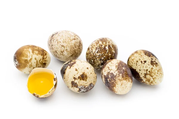 Ovos de codorna o isolado em um fundo branco. — Fotografia de Stock