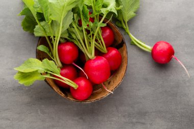 Turp taze, gri arka planda..