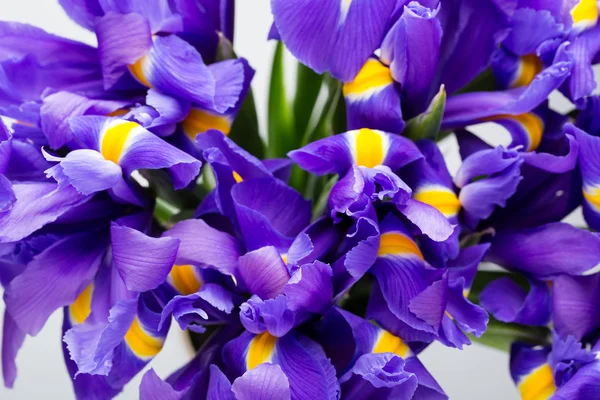 Iris bloemen achtergrond, lente bloemen patroon. — Stockfoto