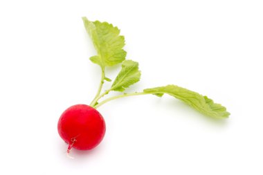 Beyaz arkaplanda taze turp. 