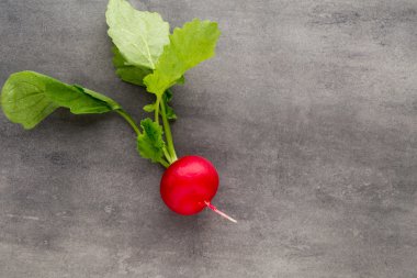 Gri arka planda taze turp..