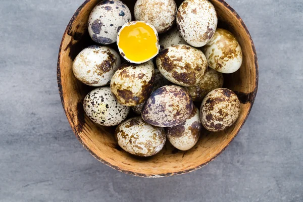 Ovos de codorna no ninho, um símbolo da primavera. — Fotografia de Stock