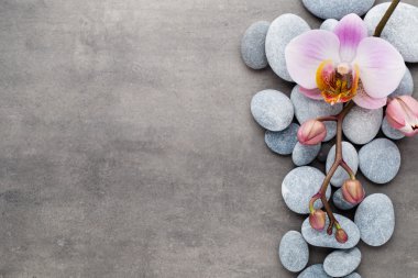 Spa orkide Tema nesneleri gri arka plan üzerinde.