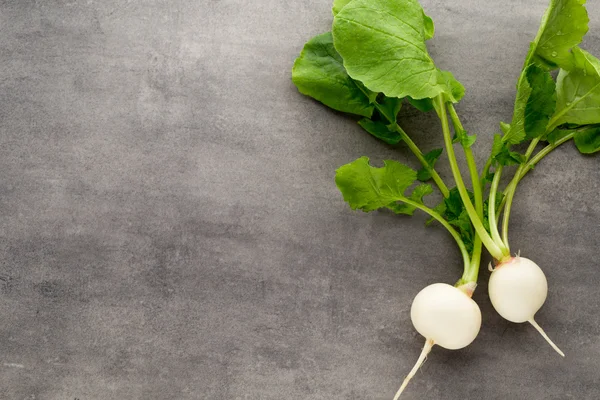 Radish fresh on the gray background. — Stock Photo, Image